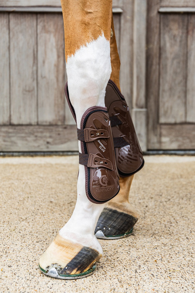 Kentucky Tendon Boots Elastic Knee Protection na przednie nogi - brązowe