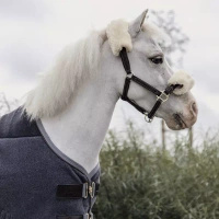  Kentucky derka polarowa Heavy Pony - szara