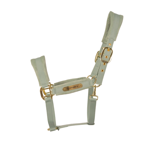 Kentucky kantar anatomiczny Velvet - miętowy