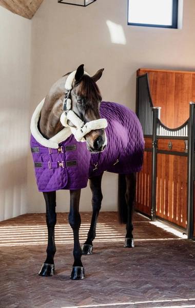 Kentucky derka stajenna Show 160 g - fioletowa