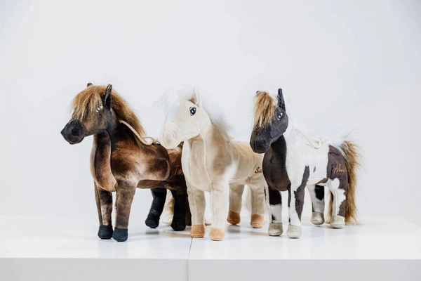 Kentucky Przyjaciel do boksu Sammy