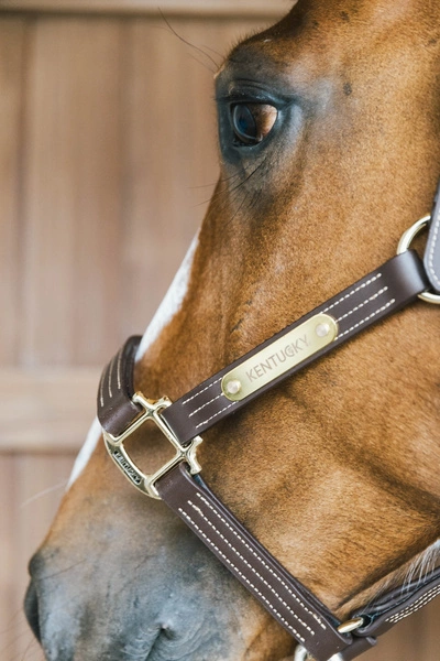 Kentucky skórzany kantar Wellington - brązowy