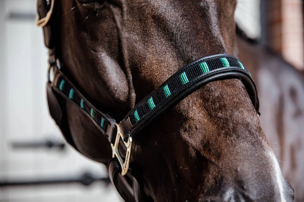 Kentucky kantar Pearls - czarny