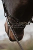 Dy'on łańcuszek do Hackamore Chain 5/8" New English - brązowy