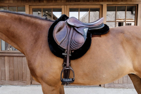 Kentucky czaprak Hunter - czarny