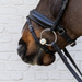 Velari wędzidło Snaffle Flex Loose Ring Soft 20 mm