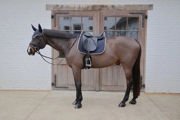 Kentucky czaprak Softshell Onion Quilt - granat