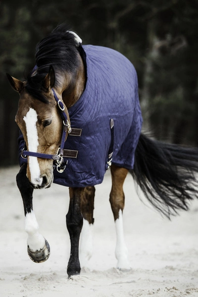 Kentucky derka stajenna bez wypełnienia - granatowa