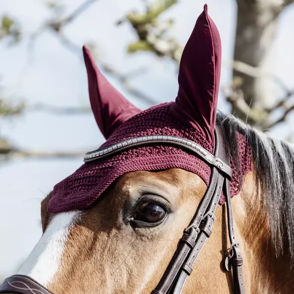 Kentucky nauszniki Wellington - bordowe