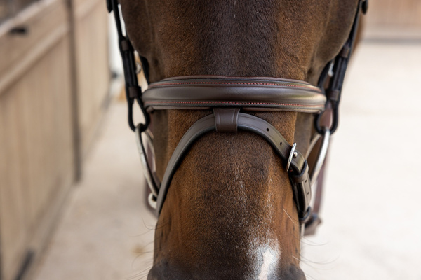 Ogłowie Dy'on New English Flash Noseband Bridle - Soft Collection - brązowe