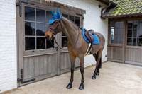 Nauszniki Kentucky Wellington Velvet Horse Printing- granatowe