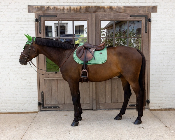 Kentucky czaprak Velvet Printing - zielony