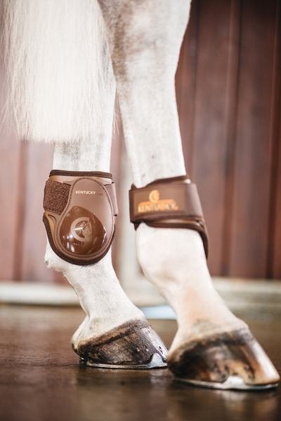 Kentucky ochraniacze Young Horse - brązowe