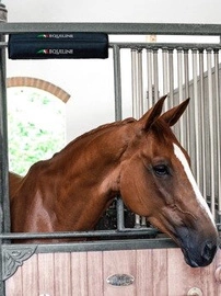 Ochraniacz stajenny na górę boksu Equiline Ozzy