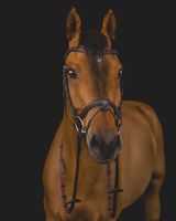 Ogłowie Equiline BJ300 - brązowe