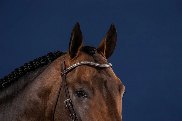 Opadający naczółek ze srebrną kostką Dy'on US Jumping - czarny