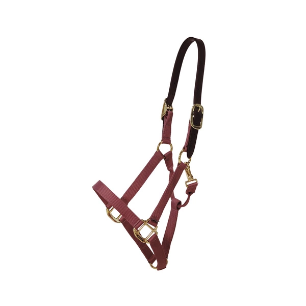 Kentucky kantar Nylon Halter Breakaway - bordowy