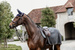 Kentucky półderka do jazdy Quater Rug Heavy Fleece - szara
