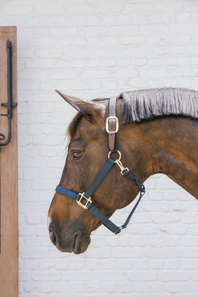 Kentucky kantar Nylon Halter Breakaway - granatowy