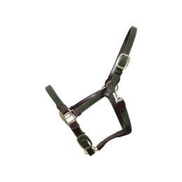  Kentucky kantar pleciony - zielony