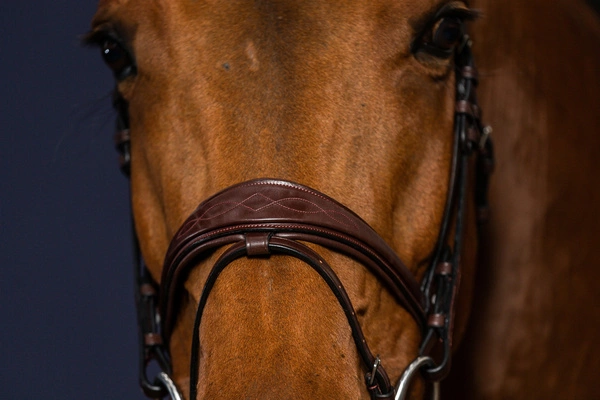 Anatomiczne ogłowie Dy'on z nachrapnikiem angielskim New English - brązowe