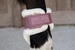 Kentucky Ochraniacze Vegan Sheepskin Young Horse Fetlock Velvet na zadnie nogi - różowe