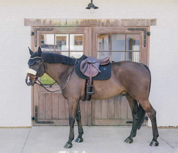 Kentucky czaprak Metal Chain - czarny