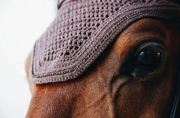 Kentucky nauszniki wyciszające Wellington Sparkling - brązowe