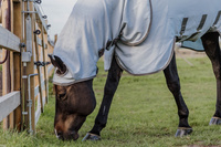 Derka chroniąca przed owadami Kentucky Eczema Rug