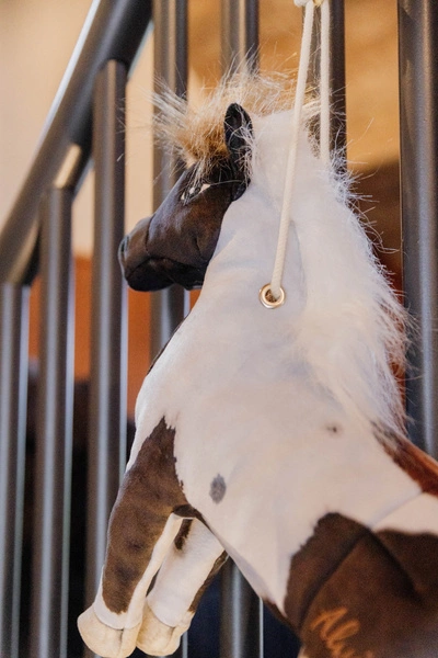 Kentucky Przyjaciel do boksu Alvin