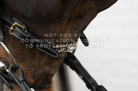 Dy'on łańcuszek do Hackamore Chain 5/8" D Collection - czarny