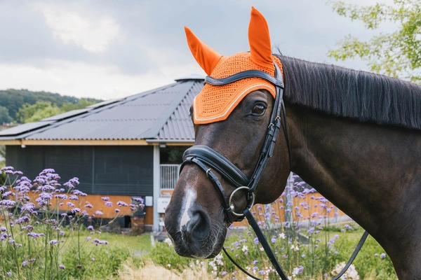 Kentucky nauszniki wyciszające Wellington Diamond Rope - pomarańczowe