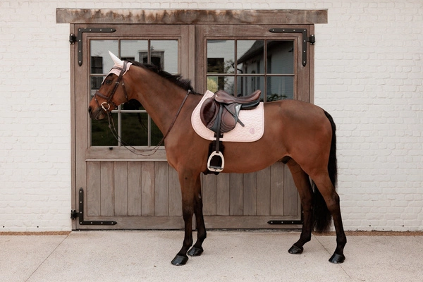 Kentucky czaprak Sparkling - pudrowy róż