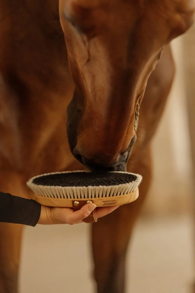 Szczotka nabłyszczająca do sierści - Kentucky Grooming Deluxe