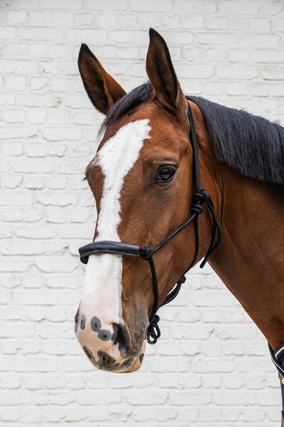 Kantar sznurkowy Kentucky Grooming Deluxe - czarny