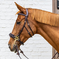 Hackamore Dy'on D Collection - czarne