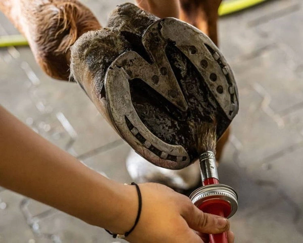 Olej do kopyt Doctor Horse Mocne kopyta