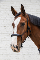 Kantar sznurkowy Kentucky Grooming Deluxe - czarny