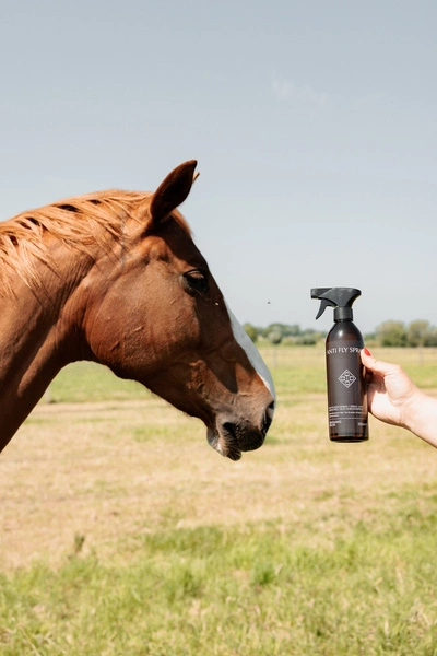Spray na muchy Anti Fly Spray 500 ml - Kentucky Grooming Deluxe