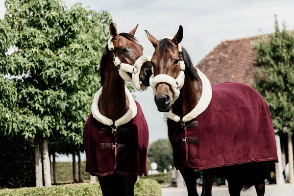 Kentucky derka polarowa Heavy Show - bordowa