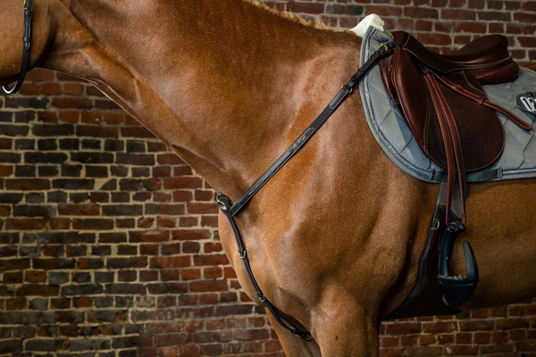 Skórzano-elastyczny napierśnik Dy'on Breastplate D Collection