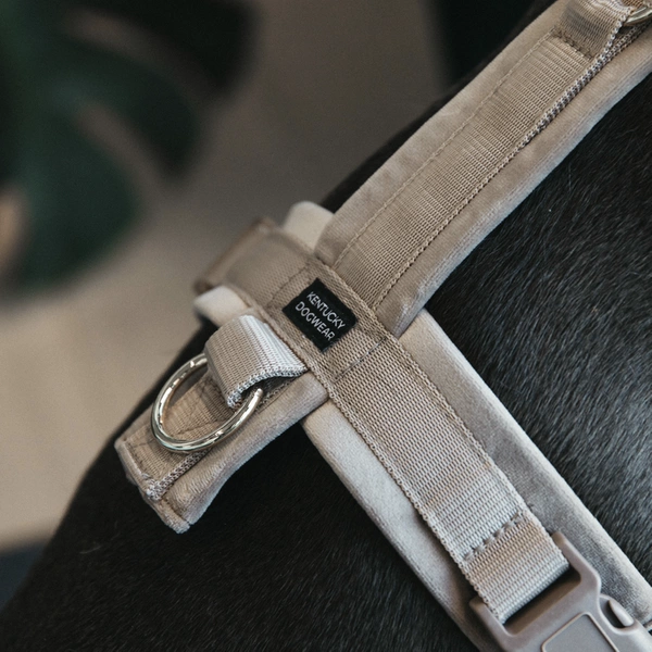 Szelki dla psa Kentucky Active Velvet - beżowe