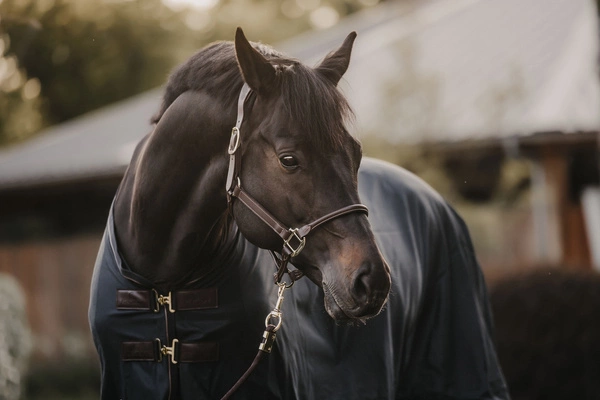 Derka Kentucky Mesh Fly Sheet - czarna