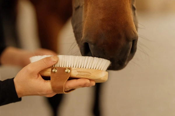 Mała miękka szczotka do sierści - Kentucky Grooming Deluxe