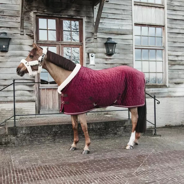 Kentucky derka stajenna Velvet 160g - bordowa