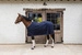 Kentucky derka polarowa Fleece Rug Heavy Melange - granatowa