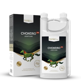 HorseLinePRO Chondro+HA 2000ml wzbogacony kwasem hialuronowym