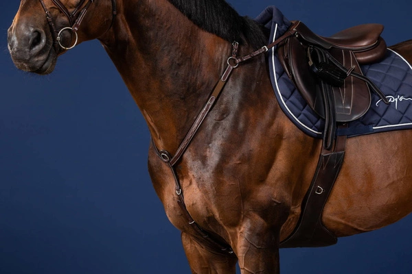 Skórzano-elastyczny napierśnik Dy'on Bridge Breastplate US Jumping