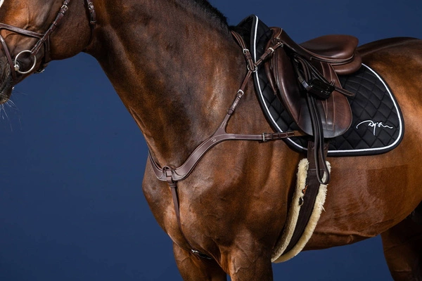 Anatomiczny skórzany napierśnik Dy'on US Jumping - czarny