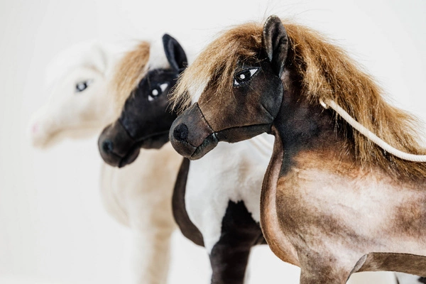 Kentucky Przyjaciel do boksu Toby